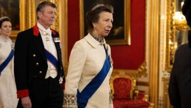 Princess Anne Wore a 57-Year-Old Coat to a State Banquet